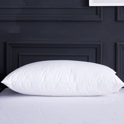 Feather Velvet Pillow Memory Foam Pillow Core