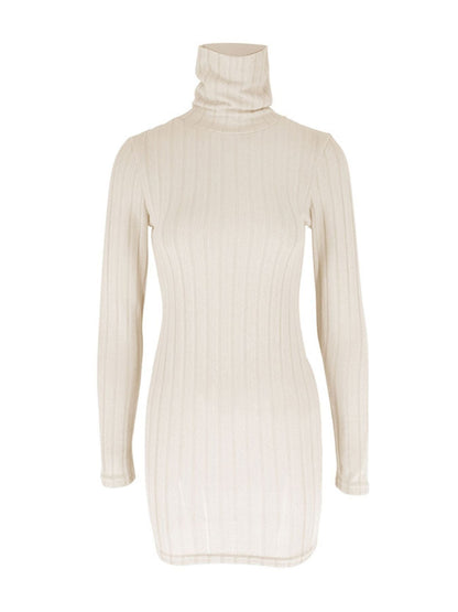 Turtleneck Ribbed Bodycon Mini Dress