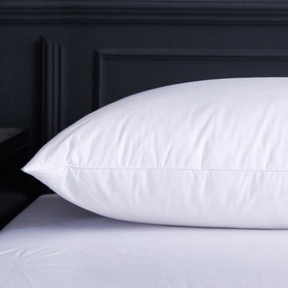Feather Velvet Pillow Memory Foam Pillow Core