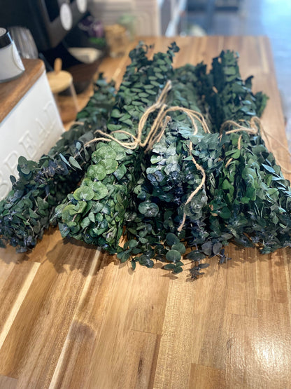 Onic Brands Hanging Eucalyptus