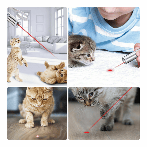 3 in1 1mw USB Rechargeable Pet Toy Pen Flashlight Red laser Beam UV Light 3-Modes Lamp