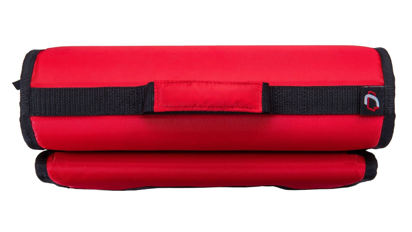 Medium Portable Medical Binder / Organizer