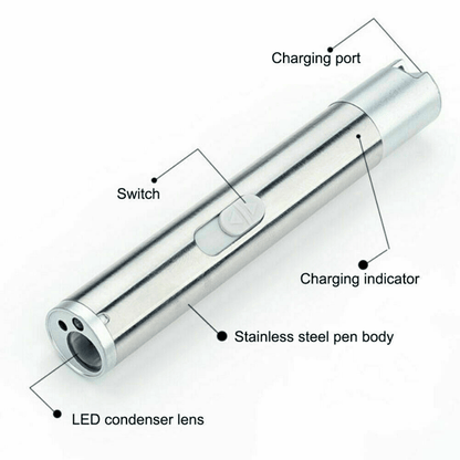 3 in1 1mw USB Rechargeable Pet Toy Pen Flashlight Red laser Beam UV Light 3-Modes Lamp